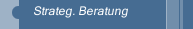 Strateg. Beratung