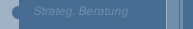 Strateg. Beratung